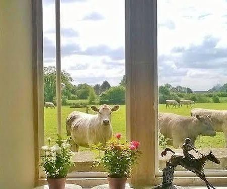 Battens Farm Cottages - B&B And Self-Catering Accommodation Yatton Keynell 외부 사진